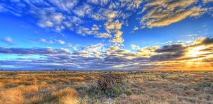 Bucklow Station - NSW T (PB5D 00 2625)